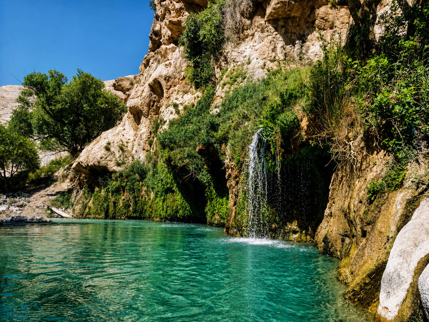 بی بی سیدان